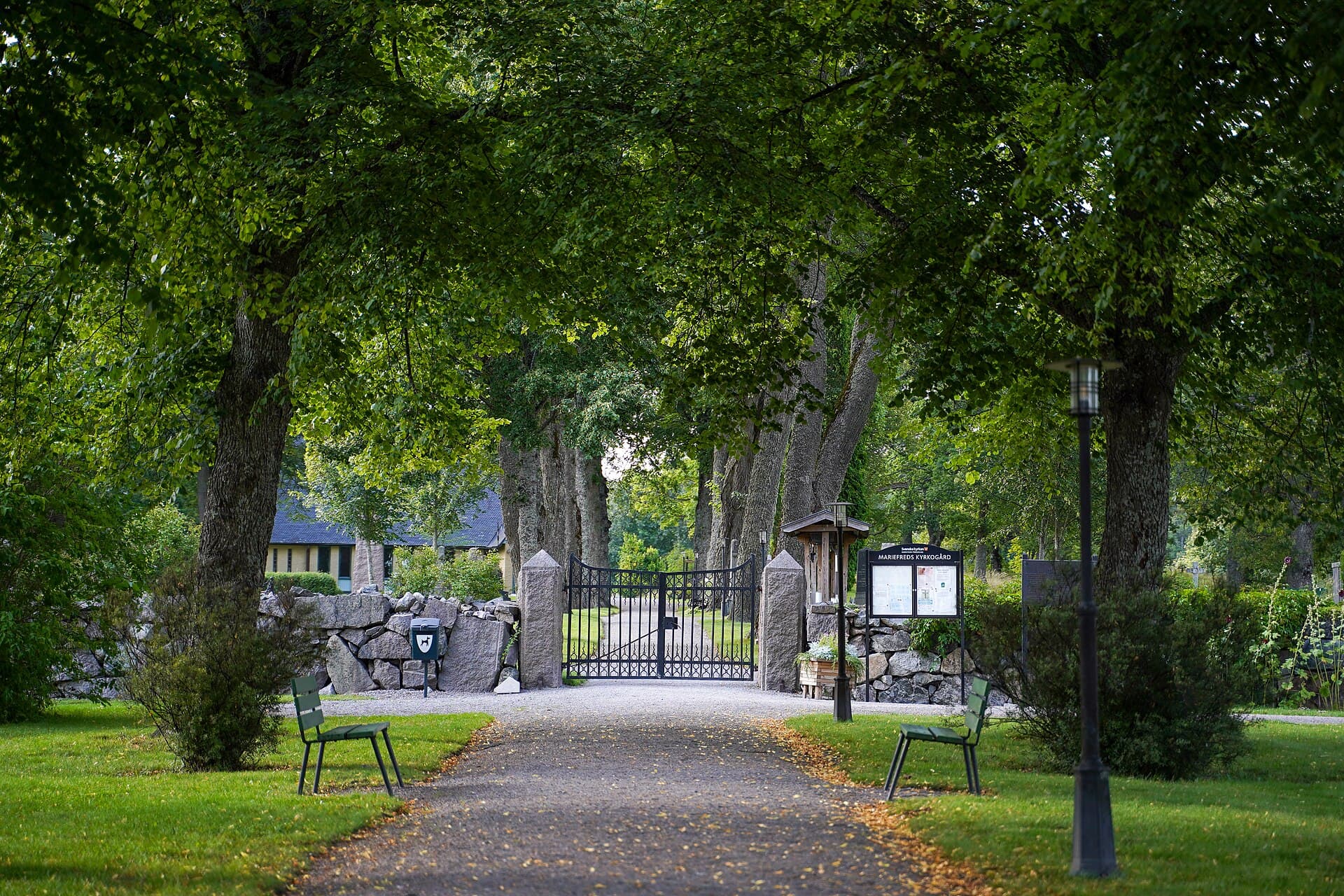 A tree-lined lane leading through the cemetery