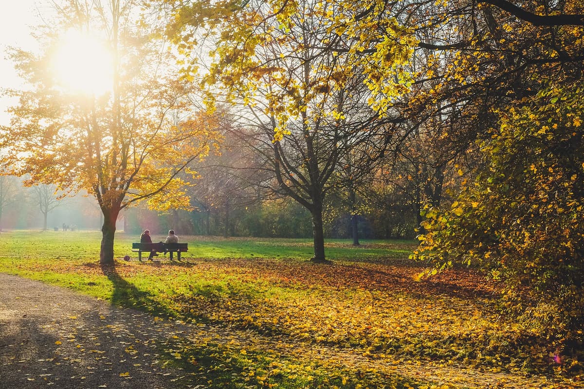Autumn afternoon in Wittelsbacher Park, Augsburg