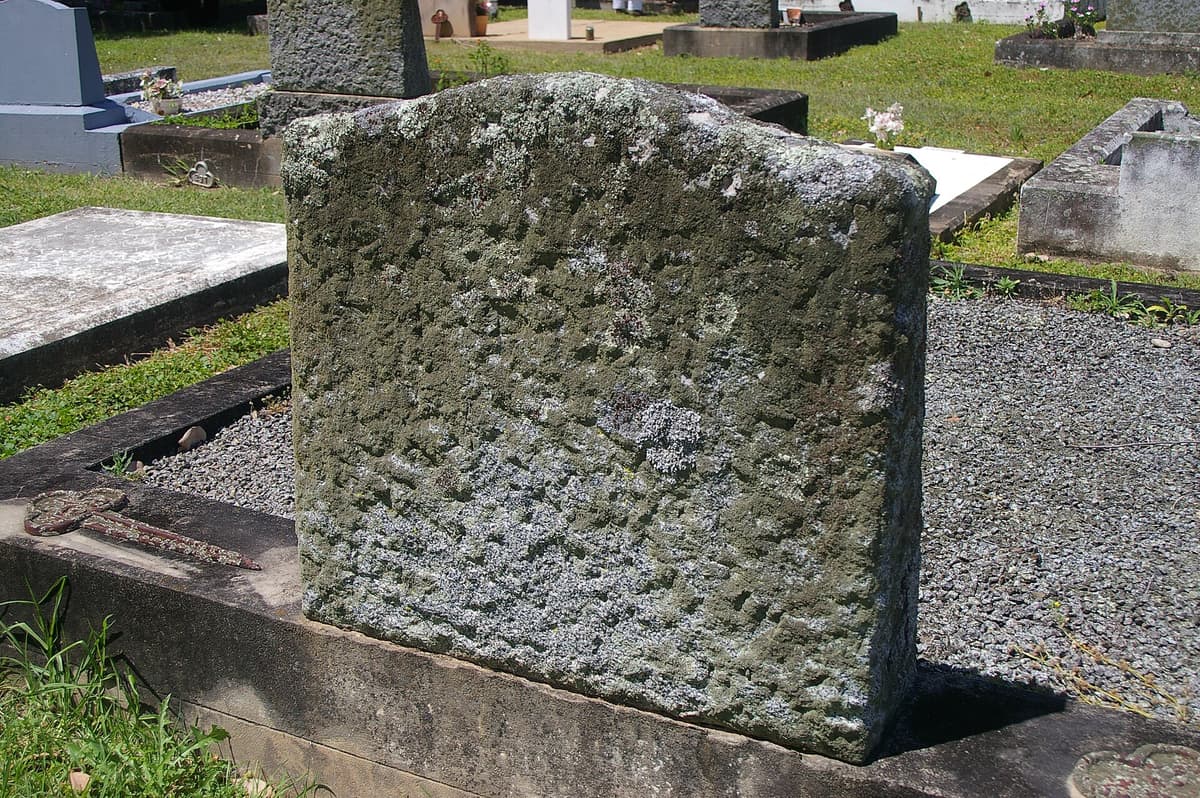 Lichen on granite grave stone Moore Cemetery Linville Rd Moore Queensland IMGP7029