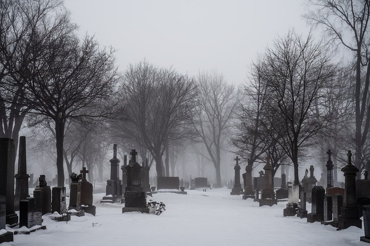 Snow covered Saint Charles Cemetery 6